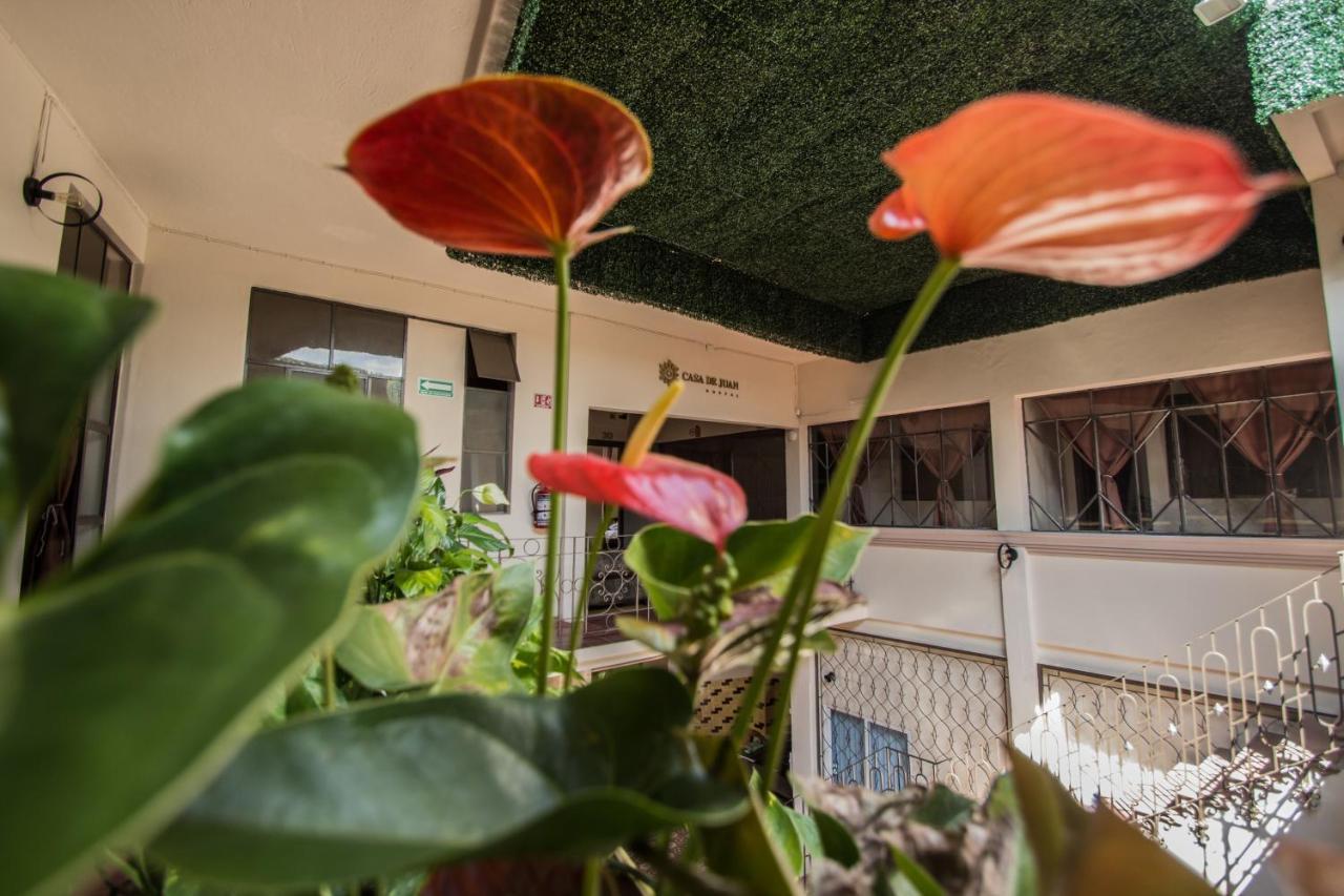 Casa De Juan Hostal Xalapa Esterno foto